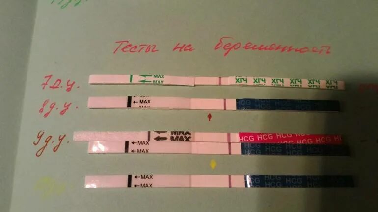 Почему болит после овуляция. После овуляции низ живота. если тянет живот после овуляции. после овуляции болит низ живота. тянет живот при овуляции.