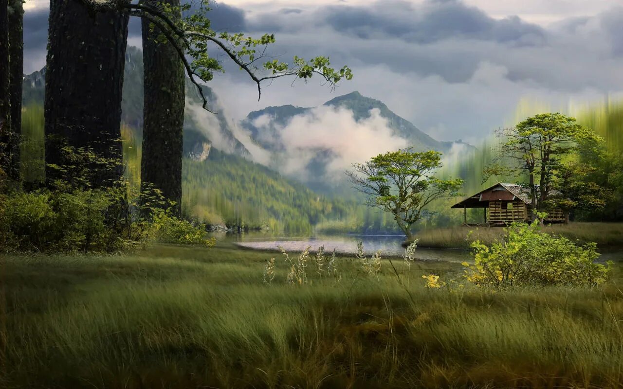 чайное озеро в токсово. красивые картинки природы. великолепные пейзажи. красивая природа. природа цифровых.