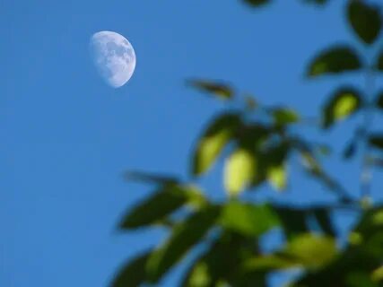 Moon sky blue