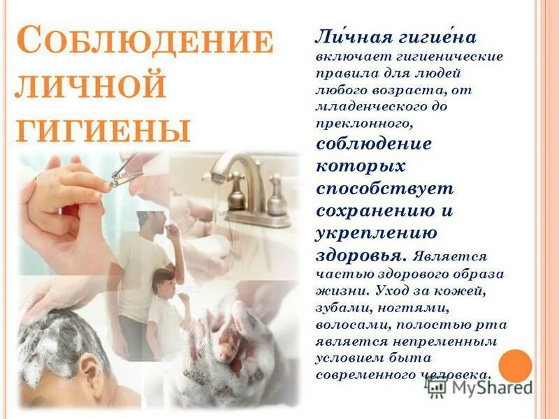 правила личной и общественной гигиены. личная гигиена тела и одежды. личная гигиена включает в себя. основные правила гигиены. правила личные гигмены.