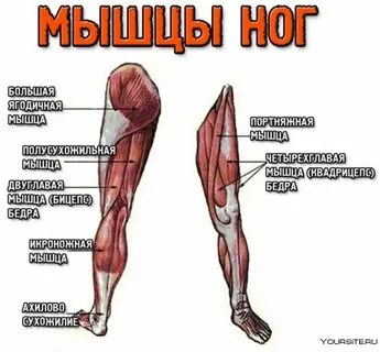 Зачем перебивали голени