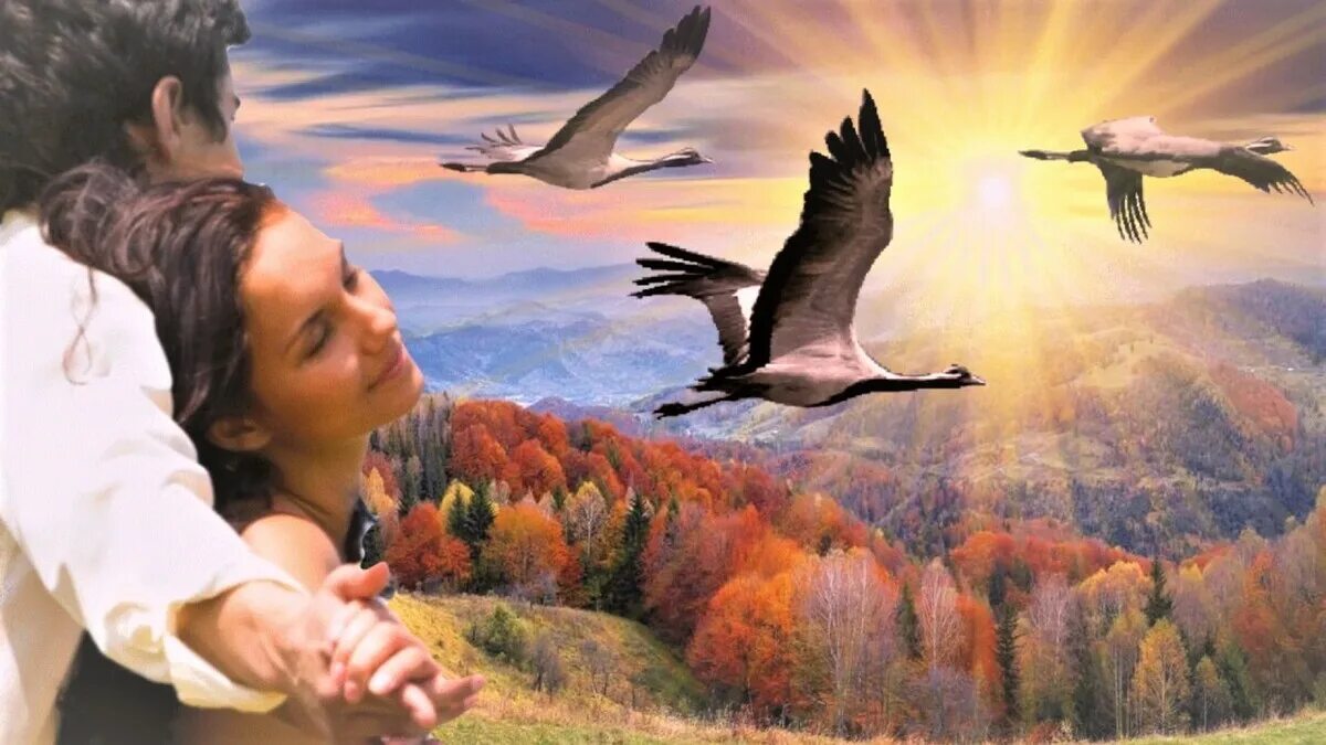 Песня где то летал