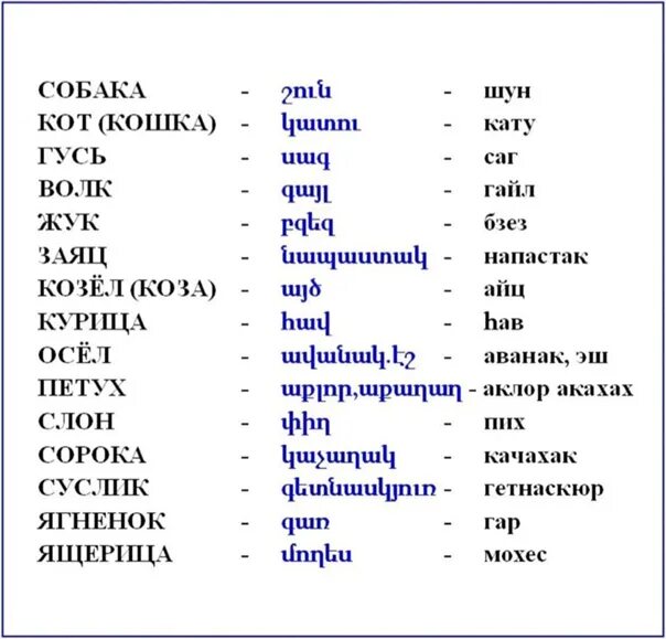 Простой язык перевод. Армянские слова. животныемна армянском. армянский язык слова. животные на армянском.