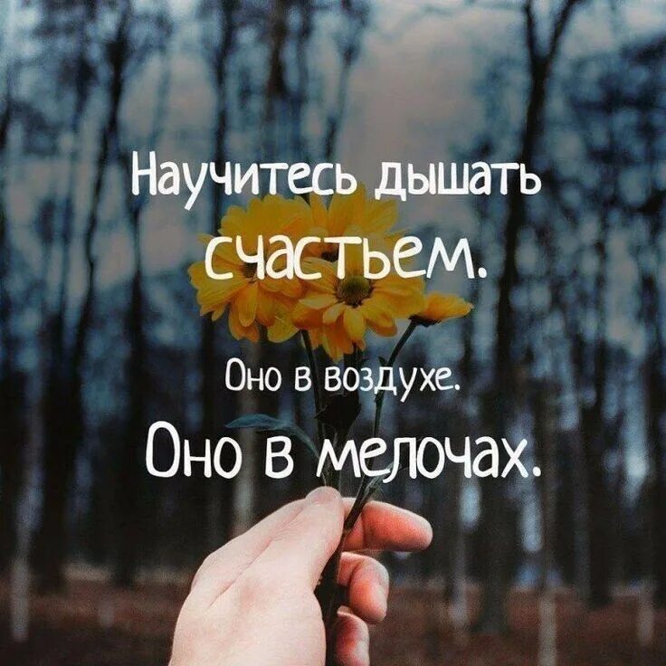 Красивый статус дня