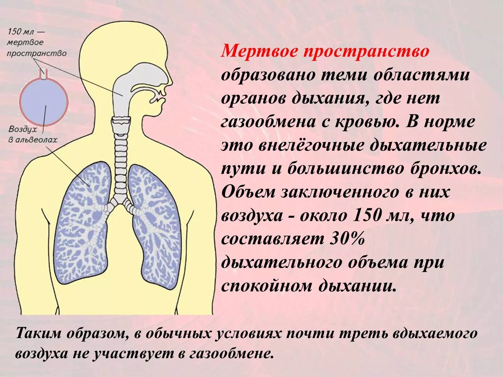 Объем мертвого пространства дыхательной системы составляет. Мертвое пространство легких. Мёртвое пространство образовано. Мертвое пространство легких физиология. Дыхательным воздухом называют