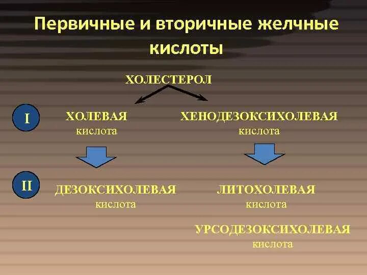 Вторичные желчные кислоты. Первичные и вторичные желчные кислоты. Первичные и вторичные желчные кислоты биохимия. Первечны жёлчные кислоты. Первичная и вторичная желчь.