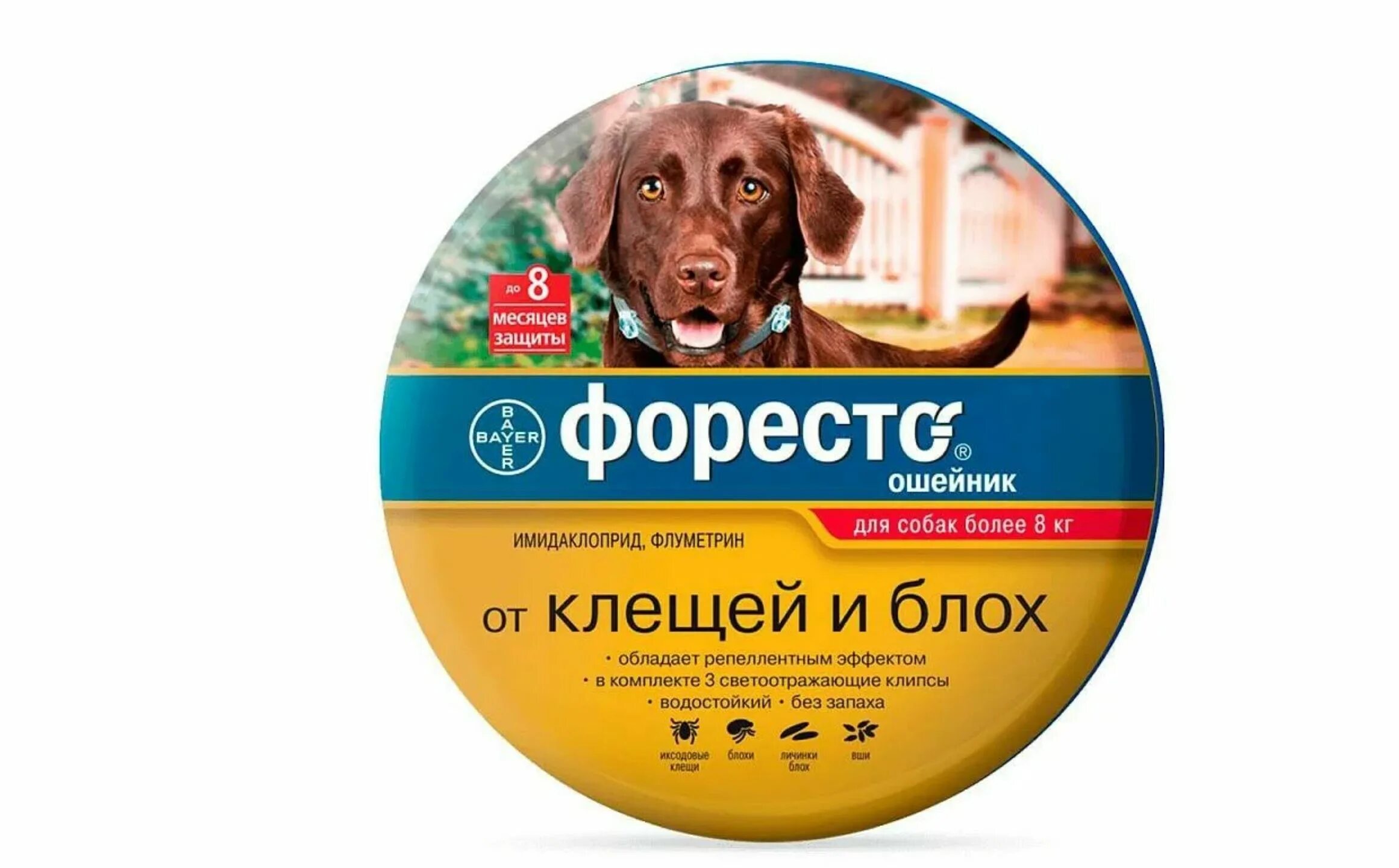 Форесто ошейник для собак от блох отзывы. Форесто ошейник для собак до 8 кг. ошейник от блох и клещей форесто. ошейник от клещей форесто для собак. bayer форесто.