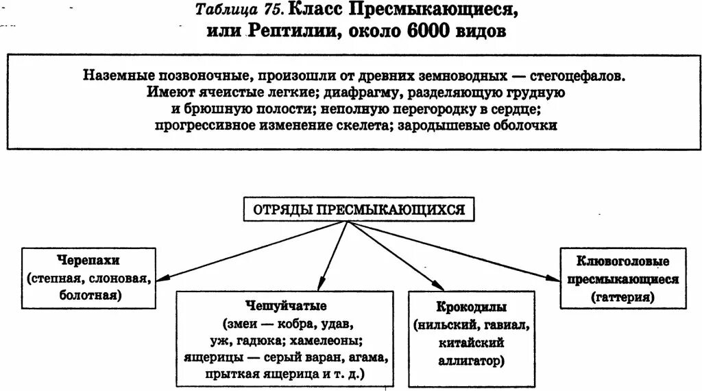 Заполните таблицу рептилии. Класс рептилии таблица. Характеристика класса пресмыкающиеся таблица. Многообразие пресмыкающихся таблица. Таблица класс пресмыкающиеся или рептилии 7 класс по биологии.