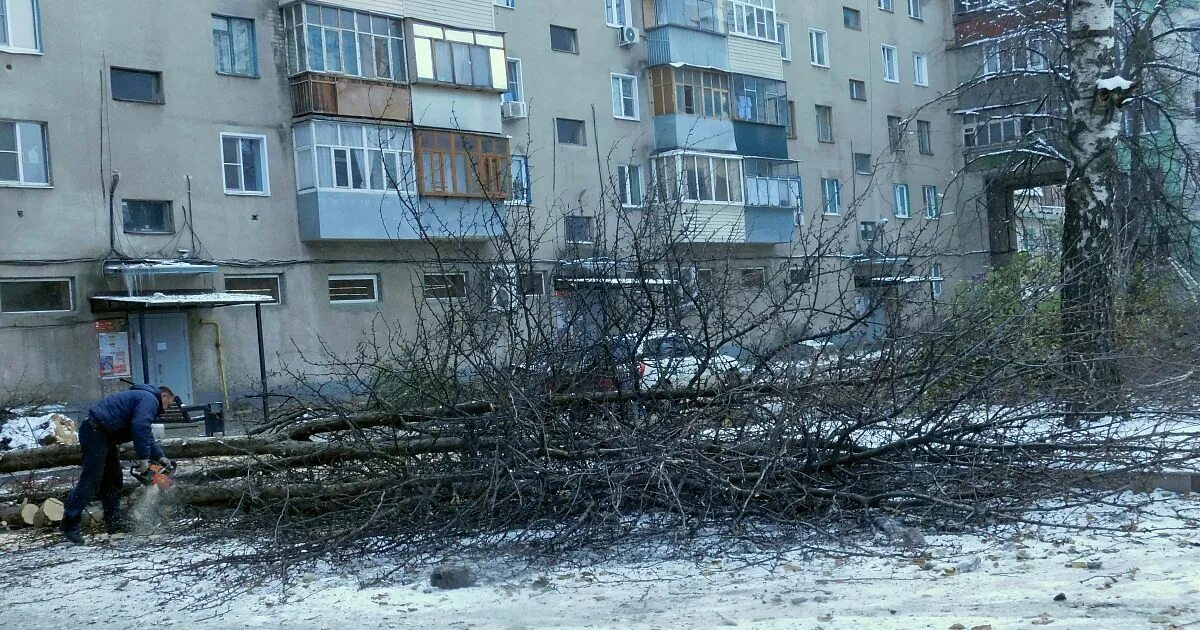 Лебединец старый Оскол. Старый Оскол деревья. Старый Оскол сейчас. Дерево упало на частный дом. Прогноз старый оскол сегодня