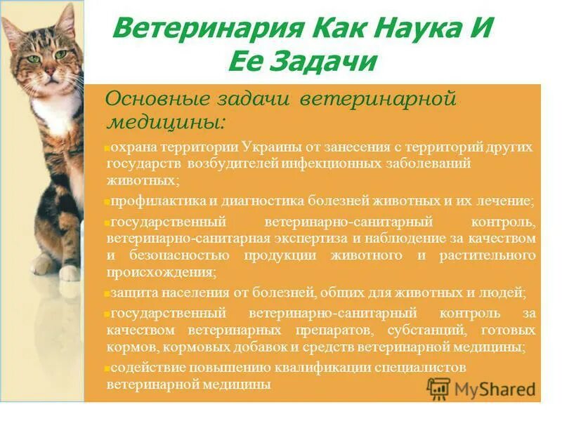 медицина ветеринар. научные проблемы ветеринарной медицины. основы ветеринарии учебник. ветеринария коровы. задачи ветеринарного врача.