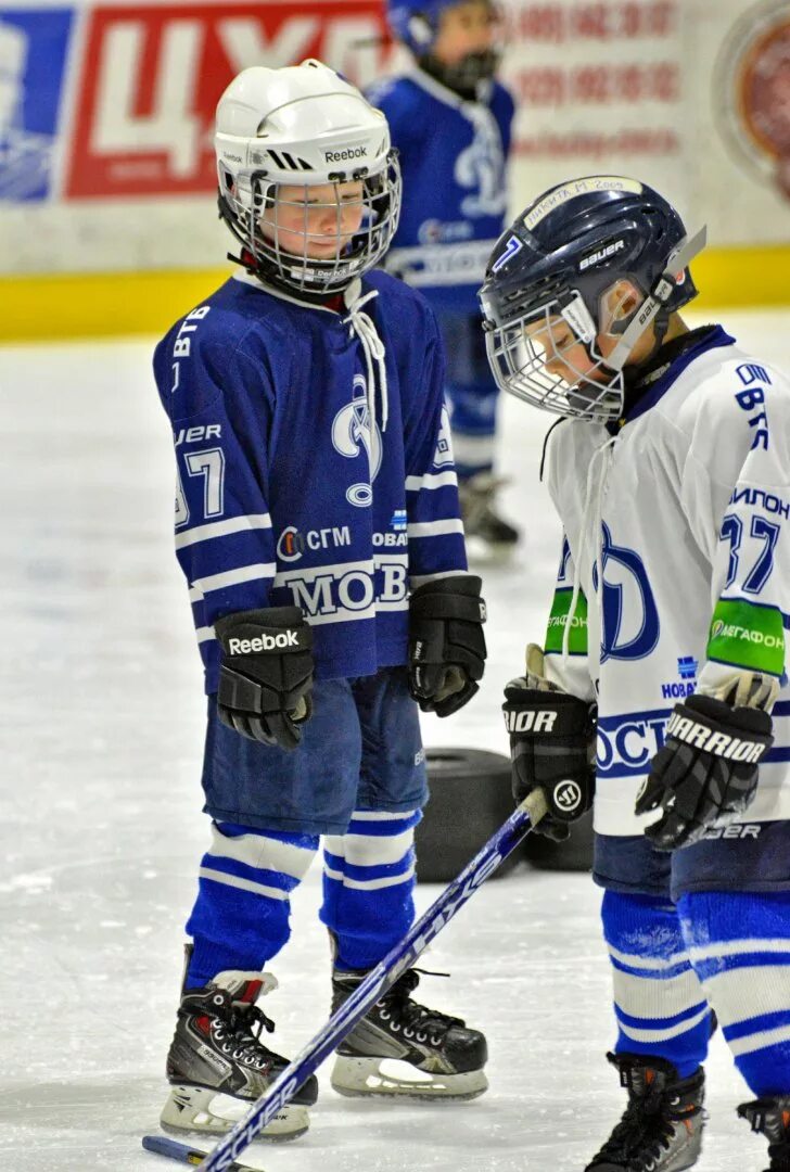 динамо хоккей детей. хоккей дети. динамо 2015 хоккейная школа. школа хоккея динамо москва. динамо хоккей детей.
