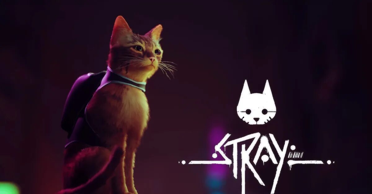 Кот гейм. Stray игра 2025. игра коты. игра про котика 2025. stray игра про кота.