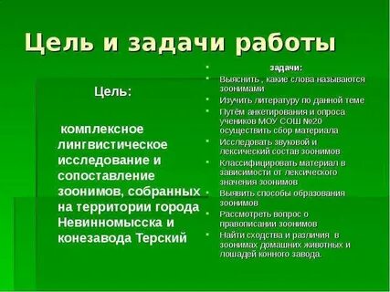 Различие целей и задач