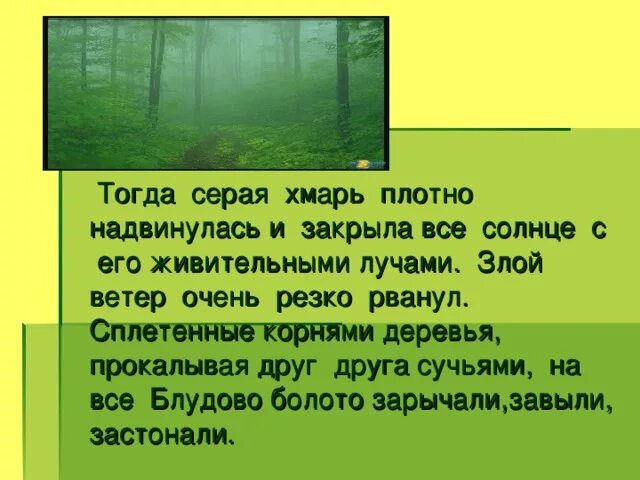 Блудово болото содержит огромные запасы горючего ответы. Блудово болото кладовая солнца. Блудово болото пришвин. Блудово болото Переславль Залесский. Ель и сосна на Блудовом болоте.