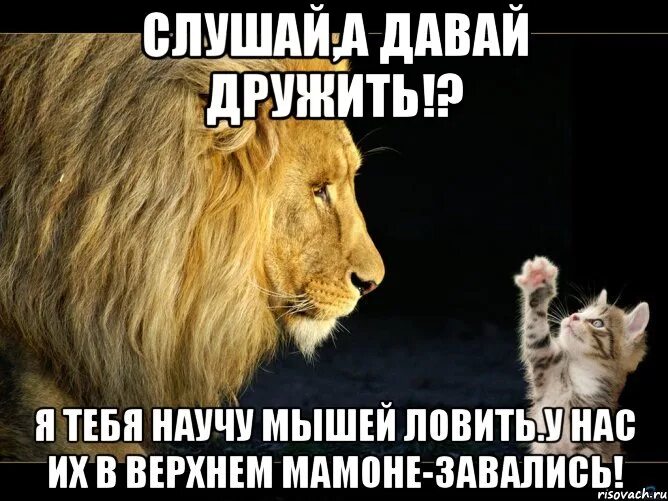 Ну давай слушай меня. Ну давай слушай меня. Ну давай слушай меня. Смешные открытки давай дружить. Слушай внимательно надпись.