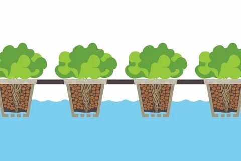 Grow row