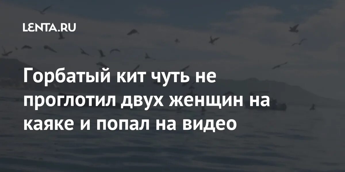 Какого пророка проглотил кит. Кит проглотил двух женщин на каяке горбатый видео. Кит чуть не проглотил. Кит проглотил двух женщин. Кит 2 женщины.