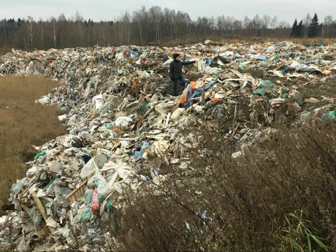 Свалка 2014 года. Каменка мусорный полигон. Село Цынцэрень свалка.