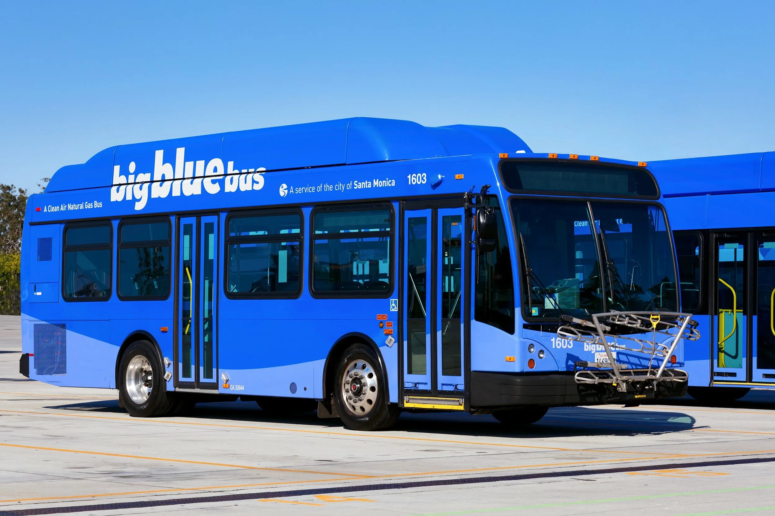 Покажи синий автобус. Big blue bus santa monica. bluebus автобус. синий автобус. голубой автобус.