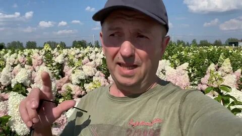 Сайт ильинка питомник самара