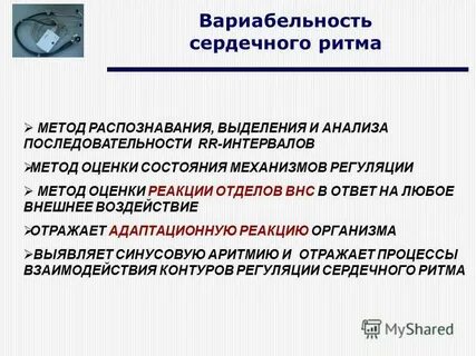 Ритм метод