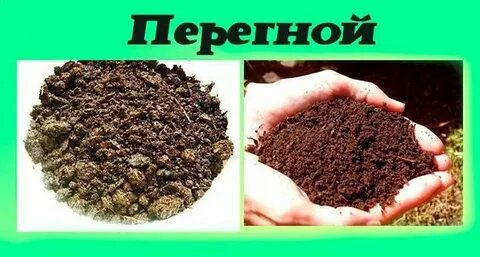 Чернозем гумус