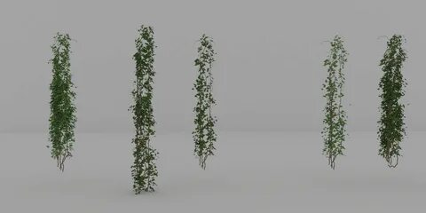 Grow down