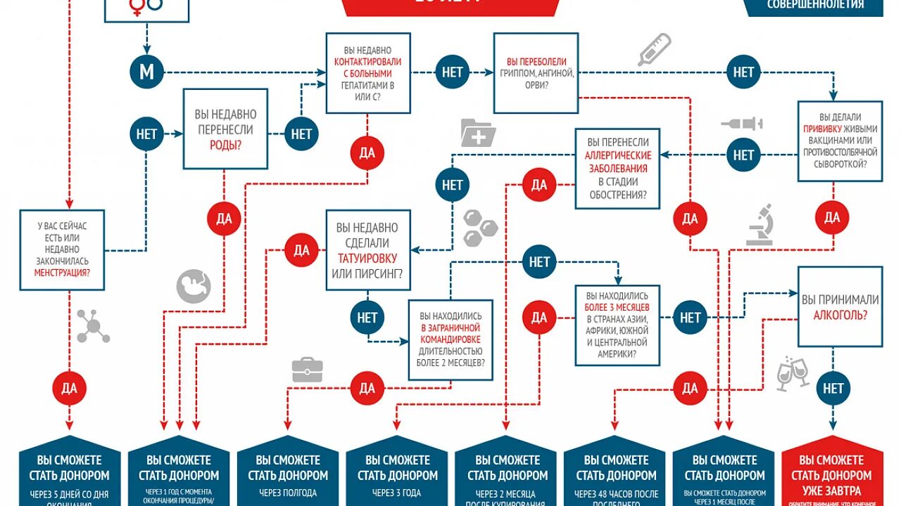 Виды донорства схема. Запрет на донорство. Донорство схема. Временные противопоказания к донорству крови.