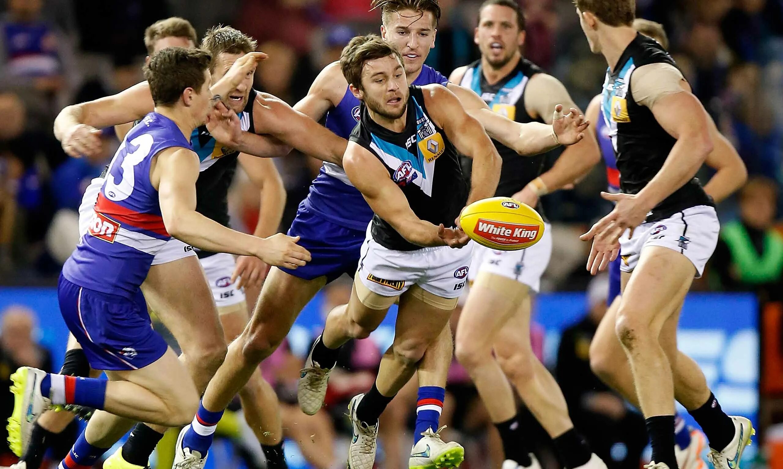 Национальный спорт австралии. Sport in australia. Австралийский спорт. Крикет джой. Спорт в австралии.