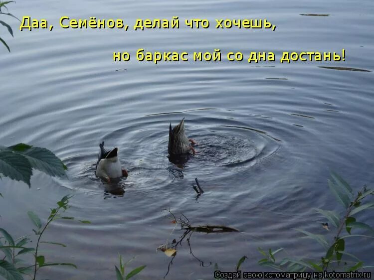 Ваз 21099 со дна волги. Затонувшие суда на волге. Поднять со дна. А баркас мне со дна достань. Ваз 21099 со дна волги.