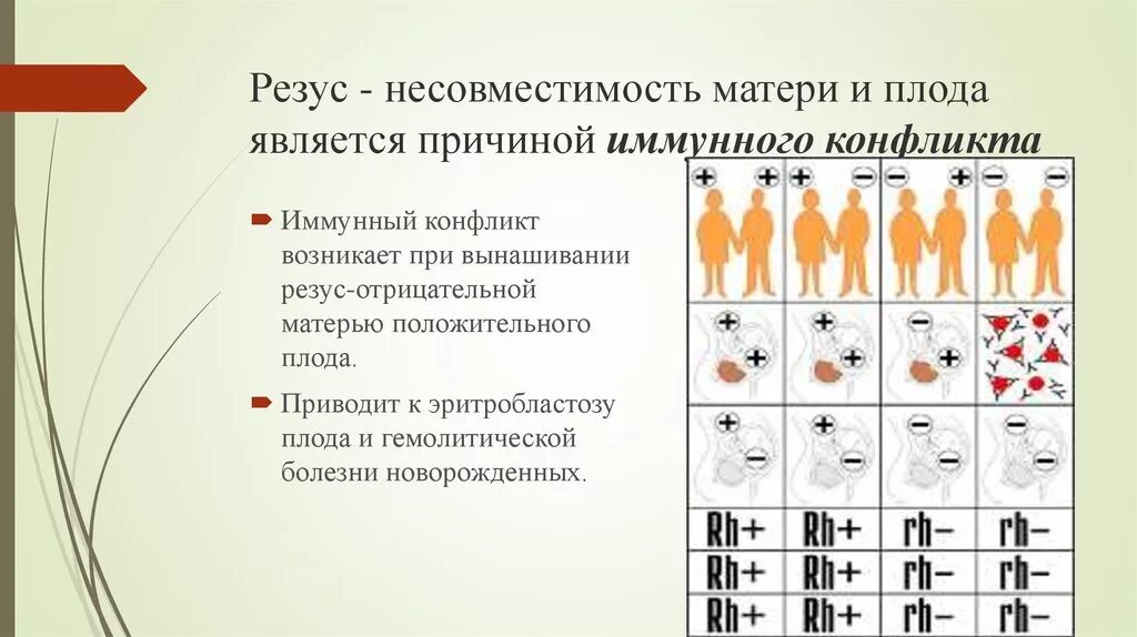 Несовместимость резус факторов. Генетическая обусловленность резус несовместимости. Иммунологическая несовместимость (по резус-фактору).. Несовместимость матери и плода.