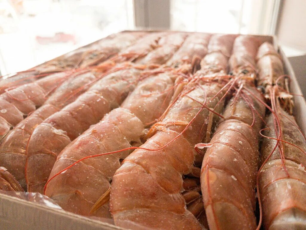 магазин рыба тут в мурманске. , 29. рыба тут мурманск. рыба здесь. рыба тут мурманск.