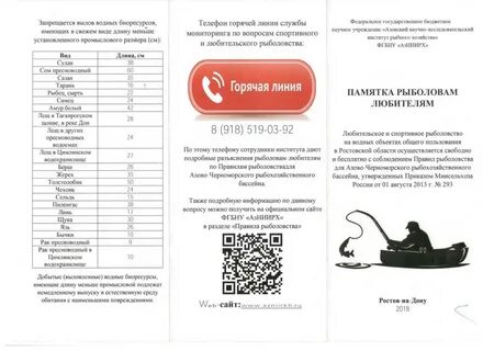 Разрешенные размеры
