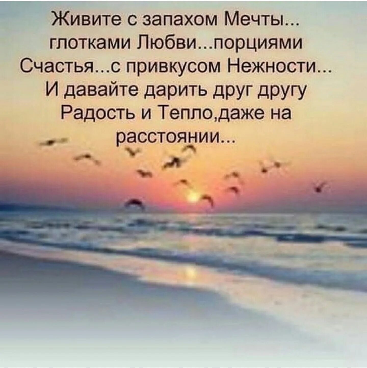 Фраза любите жизнь. Высказывания о счастье. Красивые высказывания о счастье. Позитивные высказывания о жизни. Позитивные афоризмы.