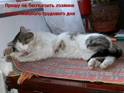 Пришел после ночной смены