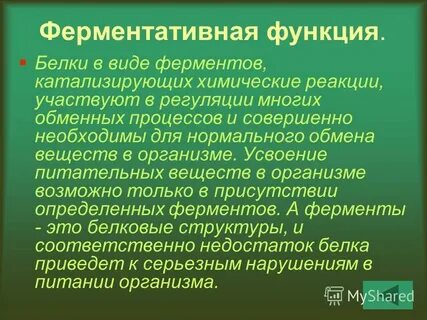 Ферментативная функция белков описание