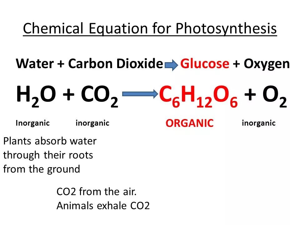 Photosynthesis equation. Chemical equations. Photosynthesis equation Formula. Oxygen Chemical properties. O 2 article