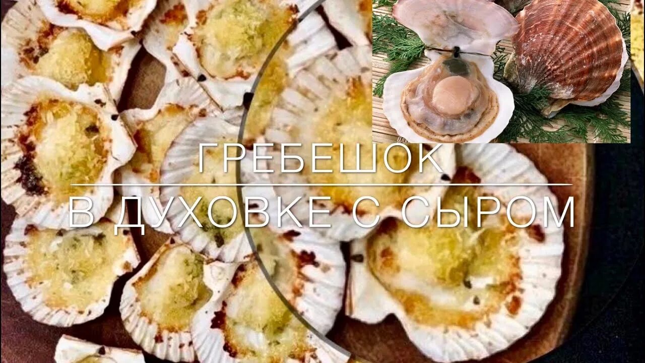 Морские гребешки в духовке. Гребешок запеченный в ракушке. Гребешки в духовке. Гребешок с сыром в духовке. Гребешок запеченный в духовке в ракушках.