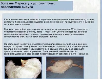 Симптомы куру