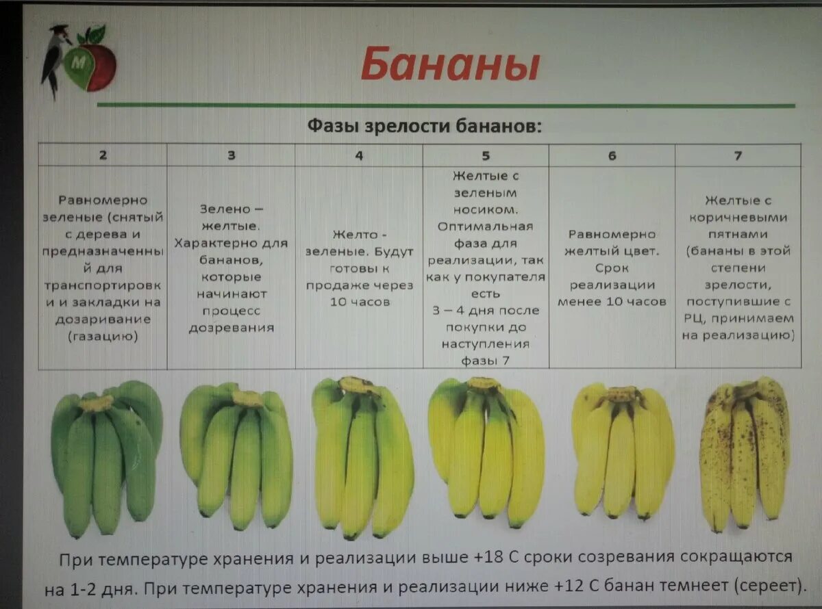 Сколько лежат бананы. Степень созревания бананов. Стадии созревания бананов. Степень зрелости бананов. Таблица степени зрелости бананов.