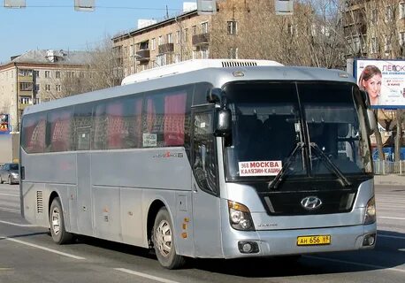 Автобус шаховская тверь