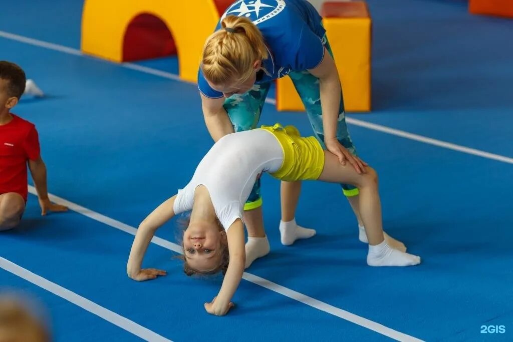 Программа спорт детям. Спортивная гимнастика дети. Спортивные кружки для детей. Детские спортивные секции. Секция гимнастики для детей.