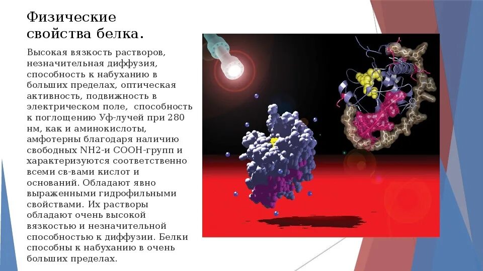 Свойства белковых растворов. Презентация по химии на тему белки 10 класс. Свойства растворов белков. Высокая вязкость растворов белков. Вязкость раствора белка.