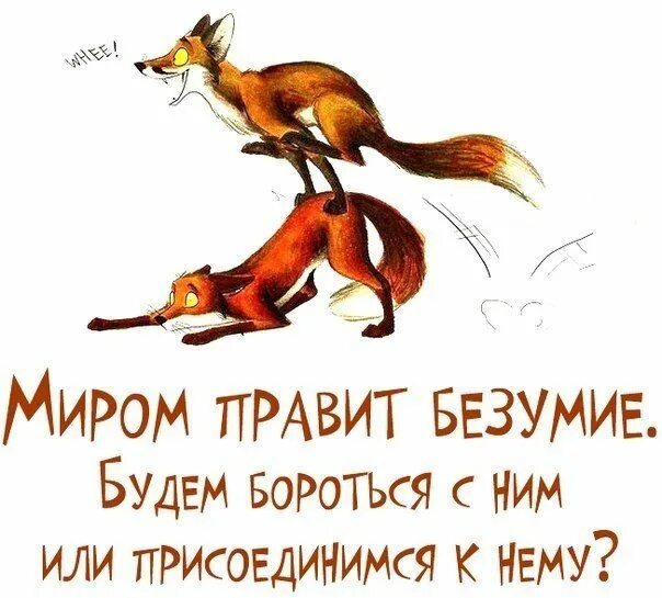 Цитаты дня смешные. Позитивные цитаты. позитивные фразы в картинках. цитата дня смешная. статусы в картинках позитивные.