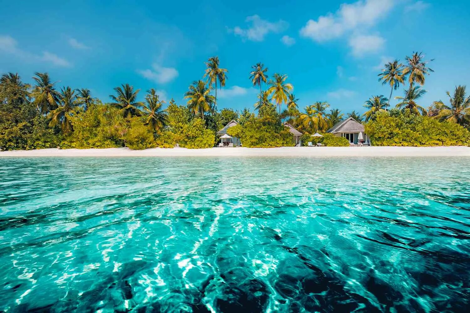 Гавайи Мальдивы Карибы. Карибы и Багамы. Карибы Фиджи. Тропический остров.