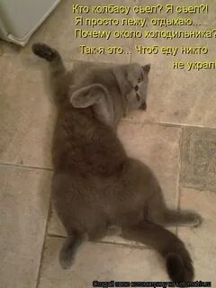 Почему около