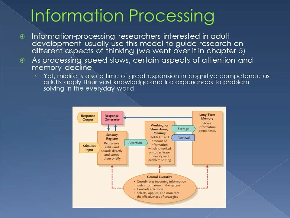 Limited processing. Information processing. Information and information processes. Processing код. Information Card of process.