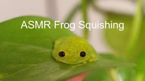 I can frog