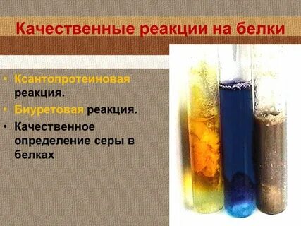 Обнаружение белков с помощью качественных реакций 10