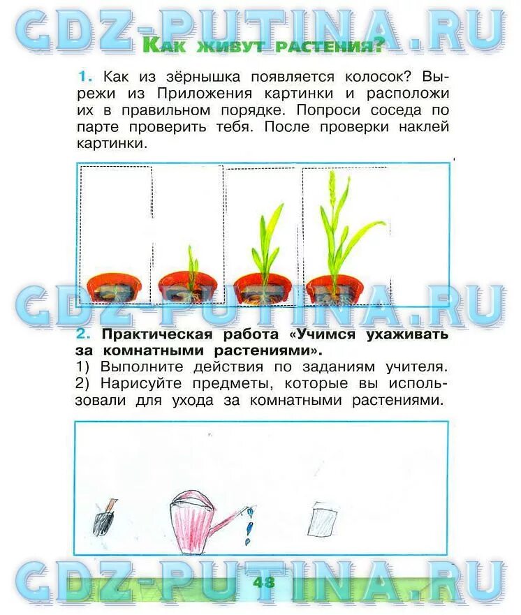 Срок жизни растения. Окружающий мир 1 класс рабочая тетрадь стр 48. Окружающий мир уходу за растениями практическая работа. Практическая работа Учимся. Практическая работа комнатных растений практическая.